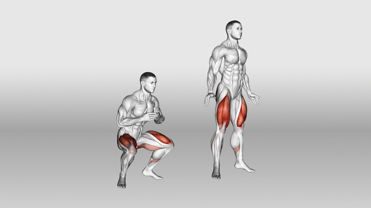 Diagram showing the muscles used in a vertical jump
