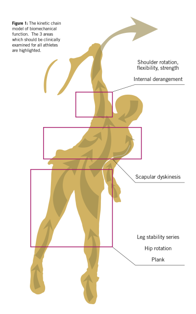 Diagram of the kinetic chain in a throwing motion